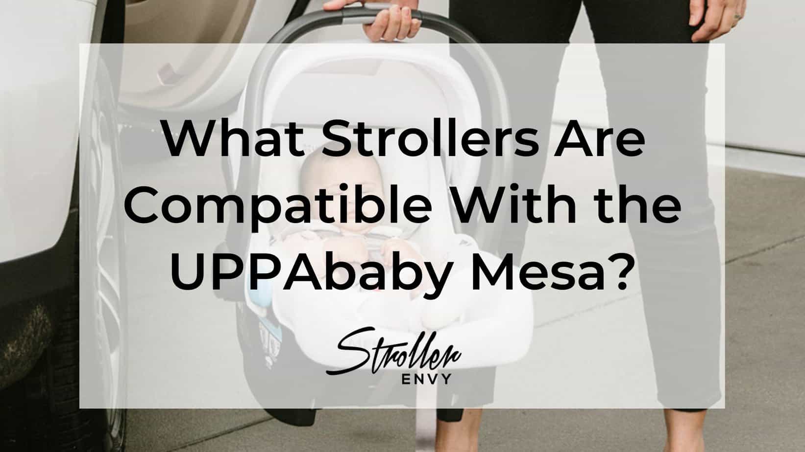 What Strollers Are Compatible With UPPAbaby Mesa