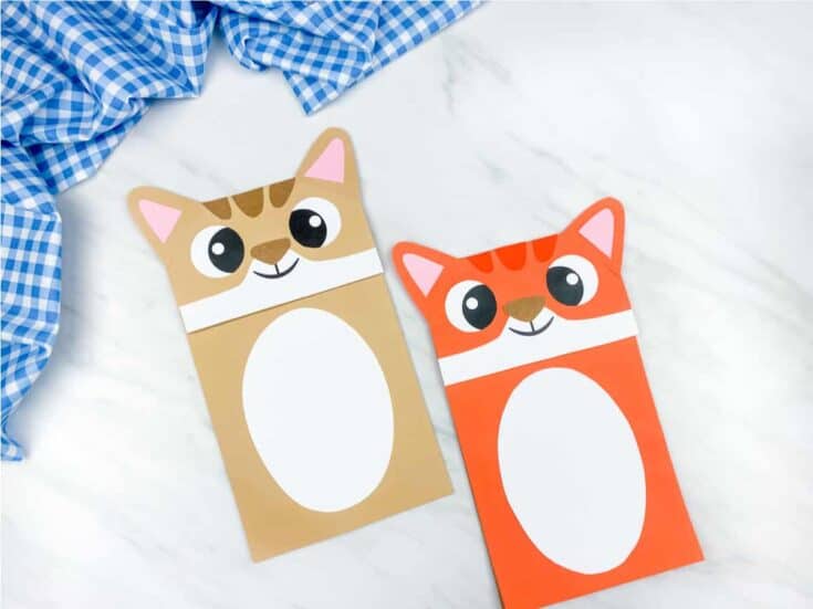 20 Purrrfect Cat Crafts for Kids 12