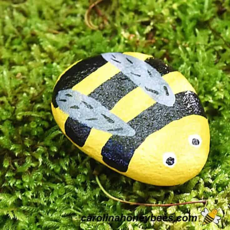 Image for Bee Rock Painting