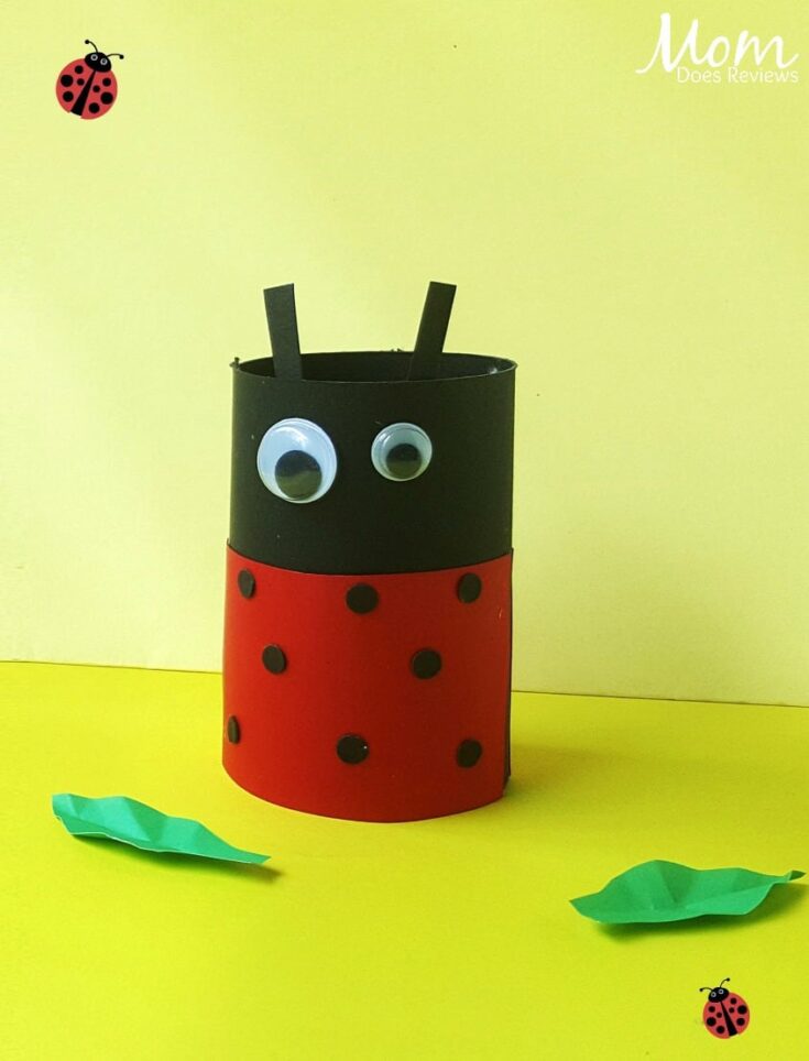 20 Super Cute Ladybug Crafts for Kids 16