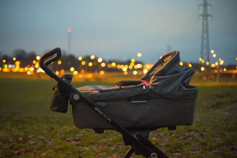 When Were Strollers Invented? A Guide Through History