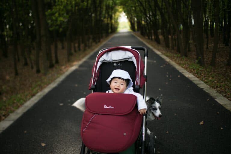 How To Keep a Baby Cool in a Stroller: Tips for the Summer
