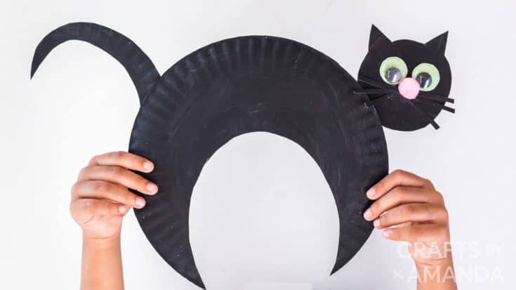 20 Purrrfect Cat Crafts for Kids 13