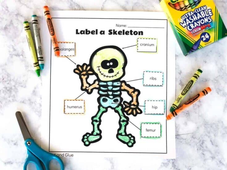 15 Easy Skeleton Crafts for Kids: Fun for All Ages 13