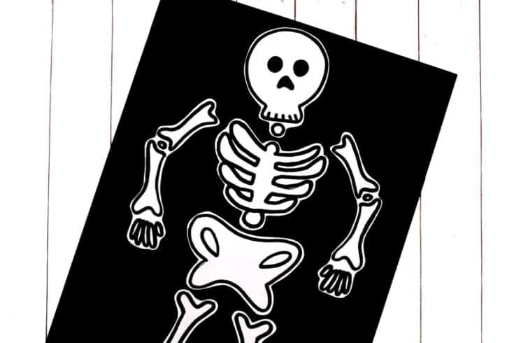 15 Easy Skeleton Crafts for Kids: Fun for All Ages 1