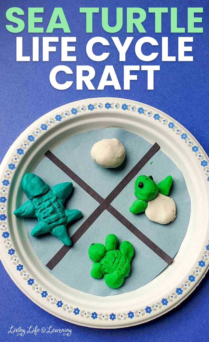 15 Super Cute Sea Turtle Crafts for Kids They Will Love 3