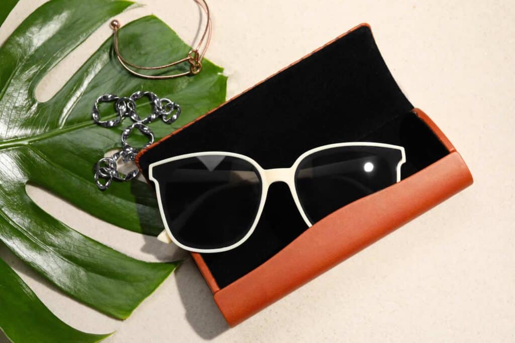 Best Eyeglasses Cases: Stylish and Protective Options for Your Eyewear