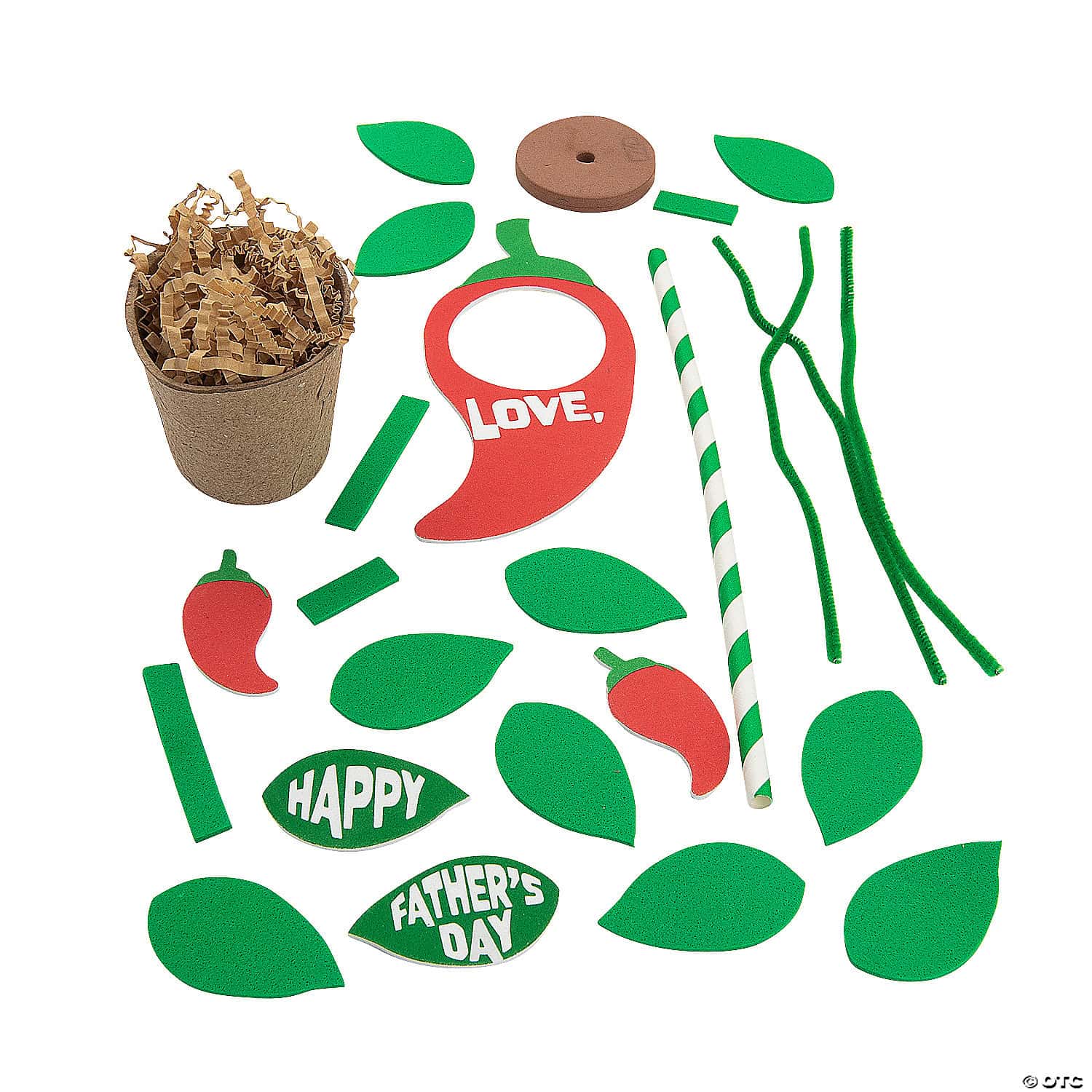 Growing Pepper Father's Day Craft Kit