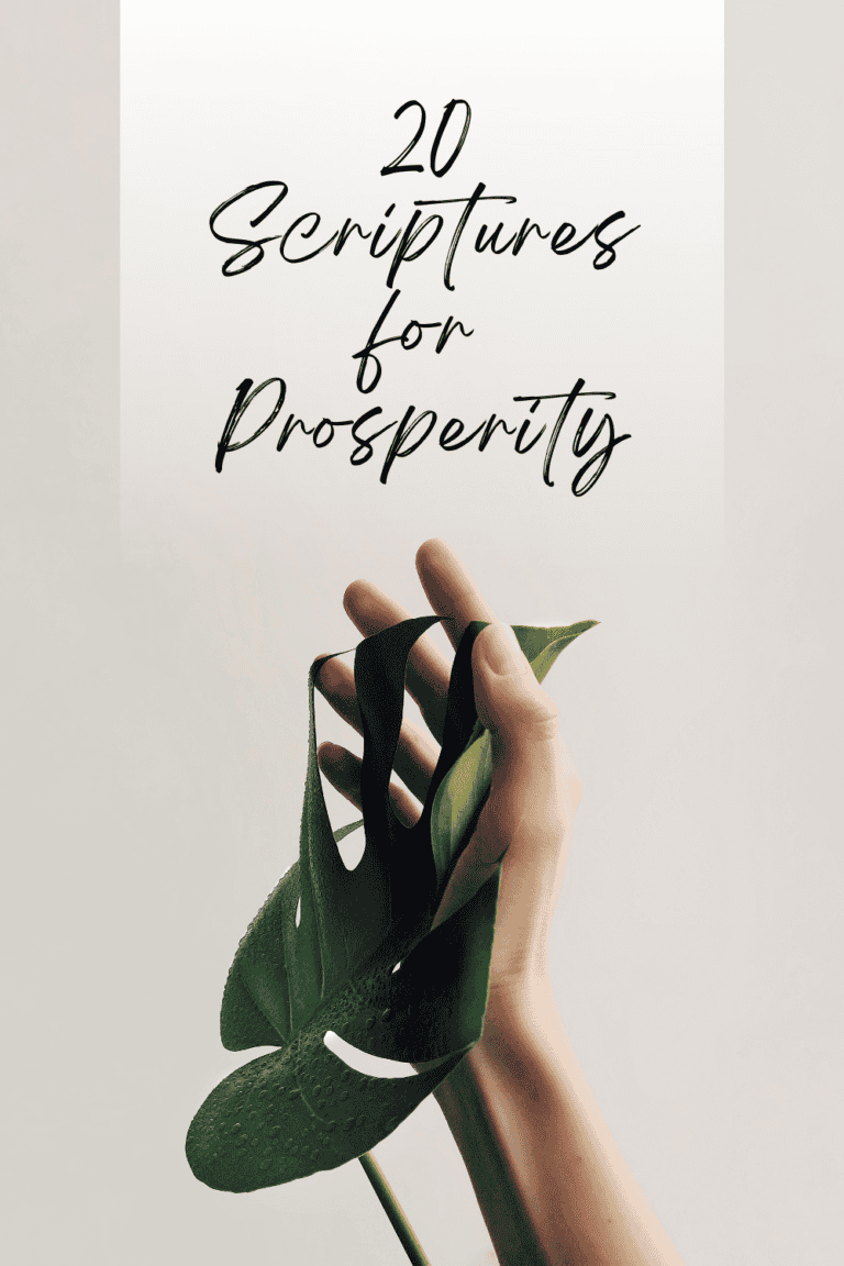 20 Biblical Promises of Prosperity to Inspire Your Journey