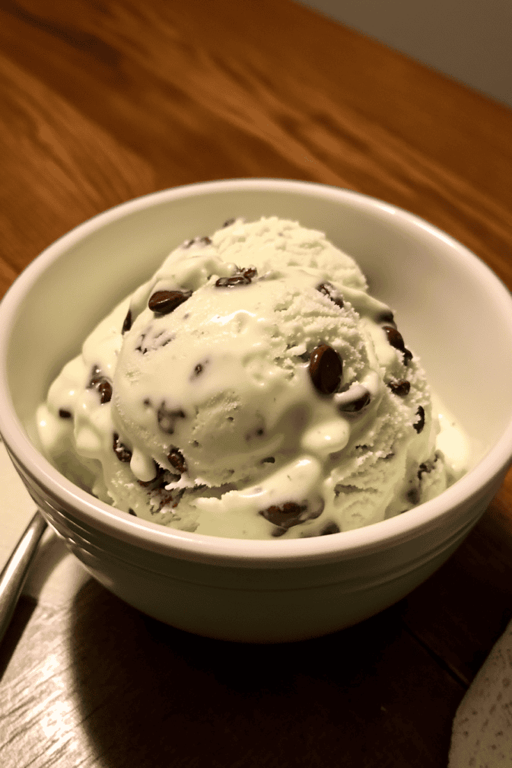 Ninja Creamie 5-Minute Mint Chip Magic