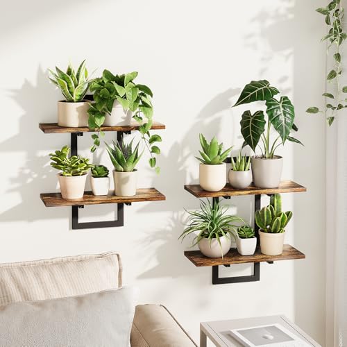 15 Creative Ways to Arrange Plants in a Small Apartment 73 Product