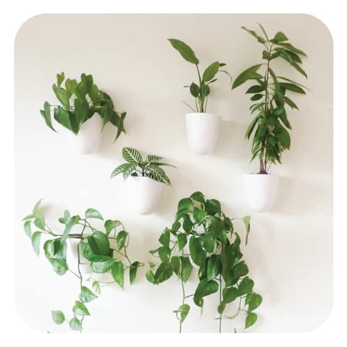 15 Creative Ways to Arrange Plants in a Small Apartment 85 Product