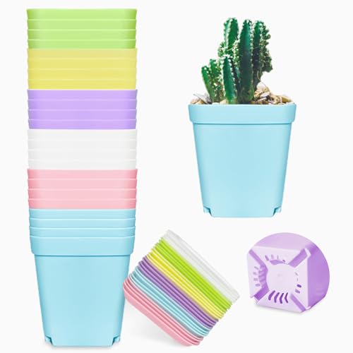 15 Creative Ways to Arrange Plants in a Small Apartment 79 Product