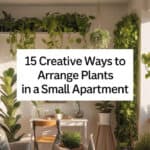 15 Creative Ways to Arrange Plants in a Small Apartment