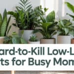 20 Hard-to-Kill Low-Light Plants for Busy Moms
