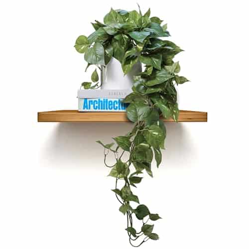 20 Beautiful Bookshelf Styling Ideas to Copy 107 Product