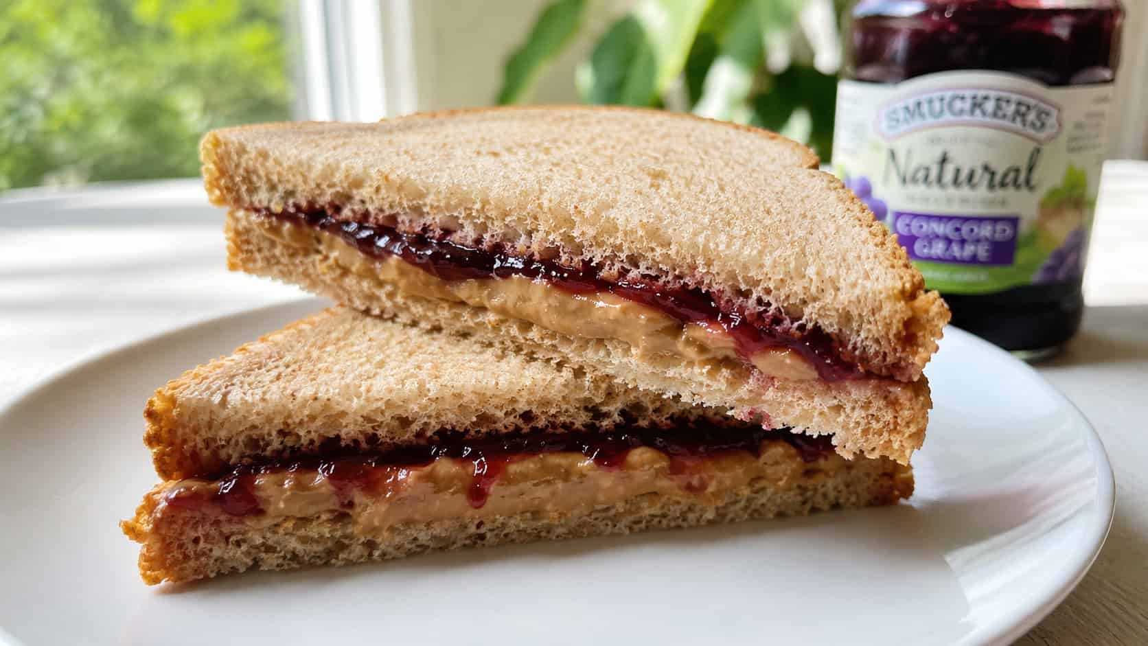 a sunflower butter and jelly sandwich cut diagonally to show the layers, shown in a wide horizontal shot on a plate over a bright table with a jar of jelly nearby, natural light, shallow depth of field, landscape orientation