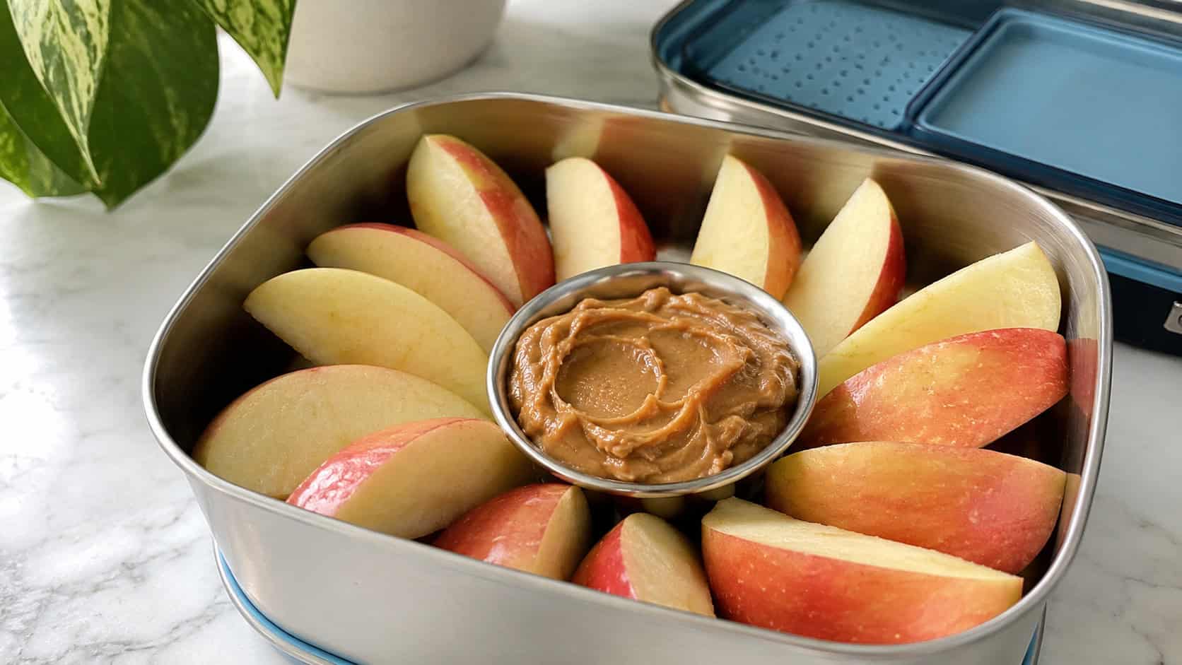 fresh apple wedges fanned around a small dish of creamy peanut butter in a wide horizontal shot, set in a lunchbox on a bright counter, natural light, shallow depth of field, landscape orientation