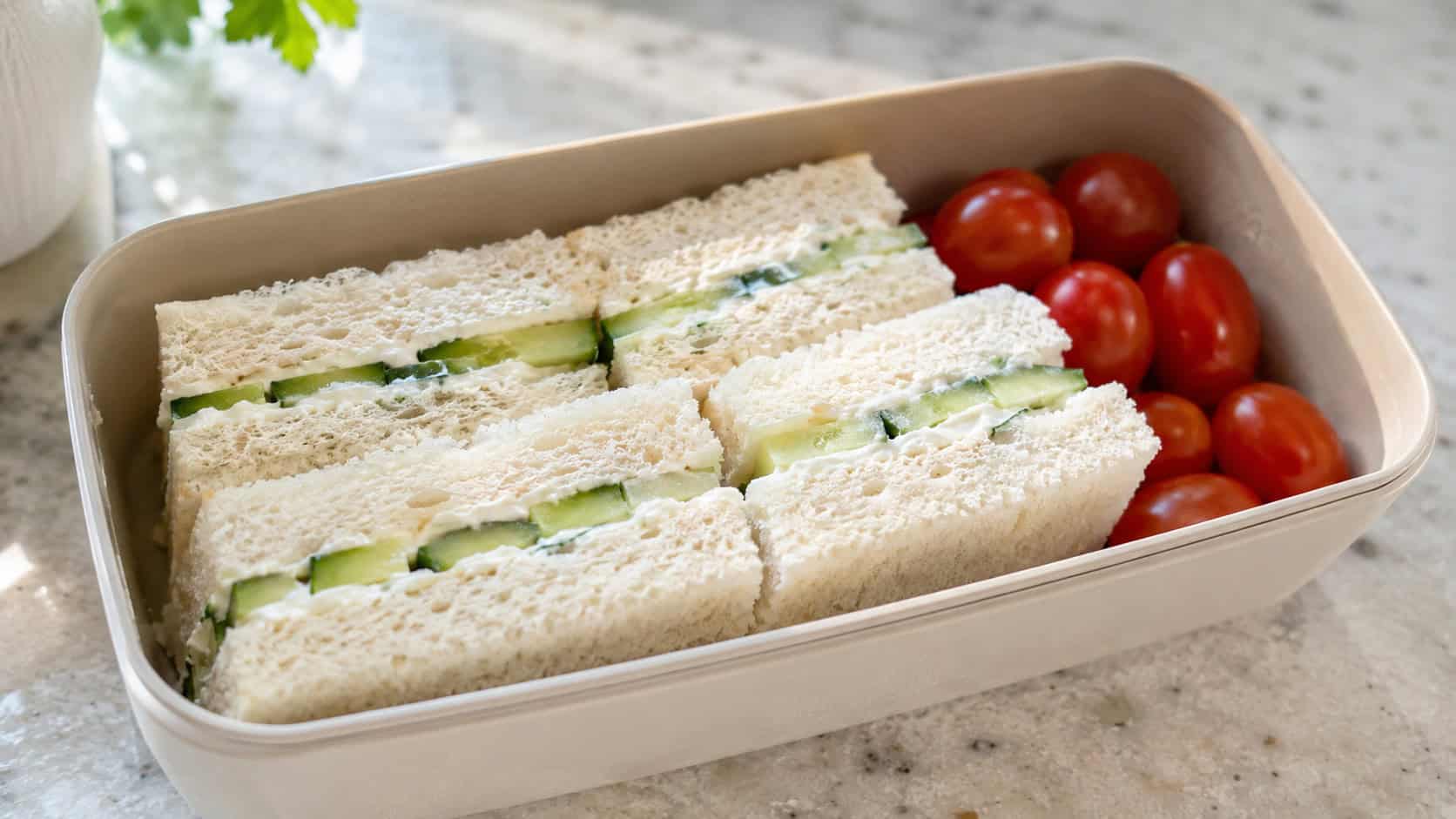 cucumber and cream cheese sandwich squares in a wide horizontal lunchbox, with cherry tomatoes on the side, set on a bright counter, natural light, shallow depth of field, landscape orientation