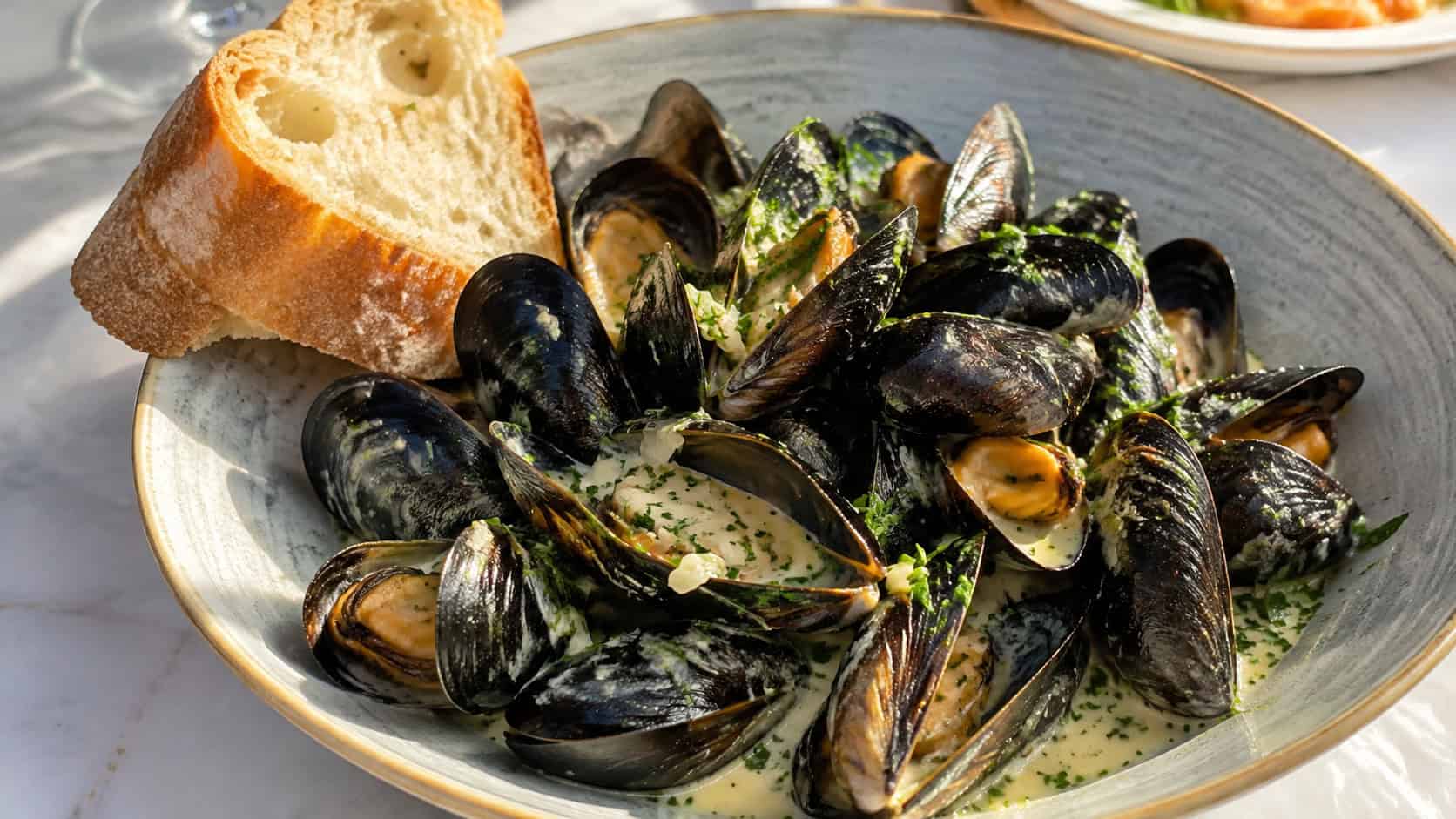 a bowl of mussels in a creamy garlic white wine broth, wide shallow bowl piled with open mussel shells, sprinkled with parsley, thick crusty bread on the side, on a bright table, natural light, shallow depth of field, landscape orientation