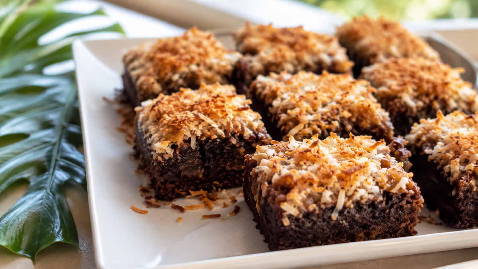 toasted coconut brownies in a wide horizontal shot, golden toasted coconut blanketing fudgy chocolate squares, arranged on a white plate with a tropical leaf nearby, bright natural light, shallow depth of field, landscape orientation