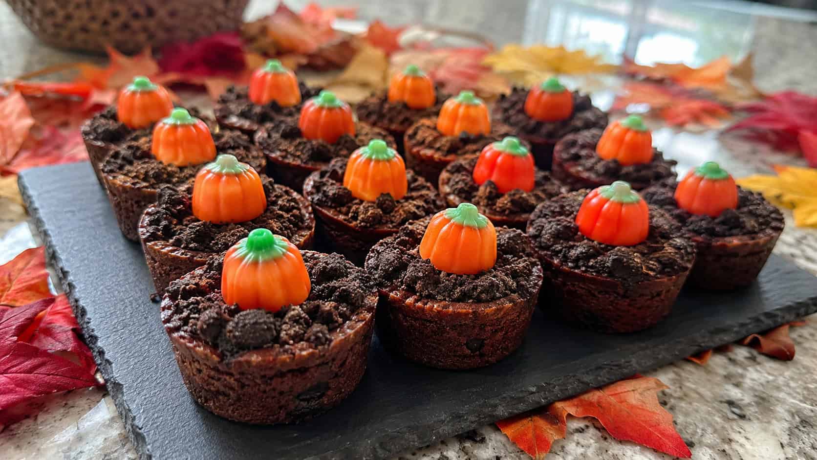 a platter of fudgy mini brownie bites topped with cookie-crumb dirt and tiny candy pumpkins in a wide horizontal shot, on a slate board with autumn leaves scattered around, natural light, shallow depth of field, landscape orientation