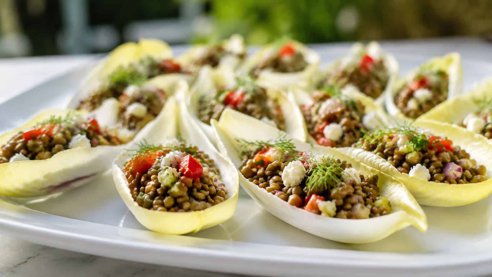 lentil salad cups in a wide horizontal shot, crisp pale endive leaves filled with herbed lentil salad and diced vegetables, arranged on a white platter, bright natural light, shallow depth of field, landscape orientation