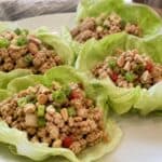 25 Quick and Easy Minced Chicken Recipes