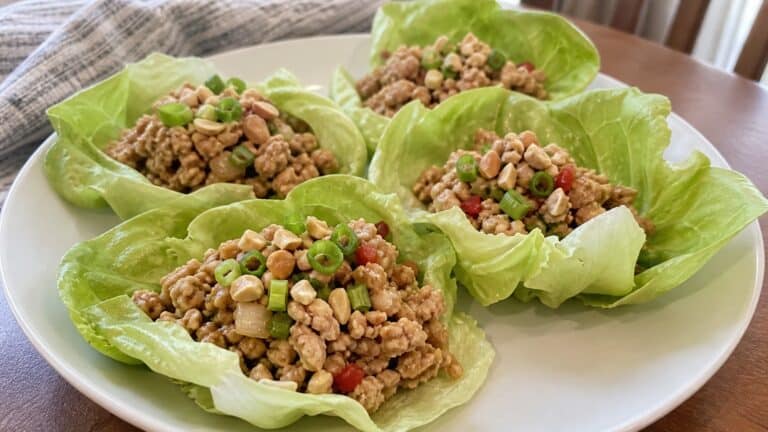 25 Quick and Easy Minced Chicken Recipes