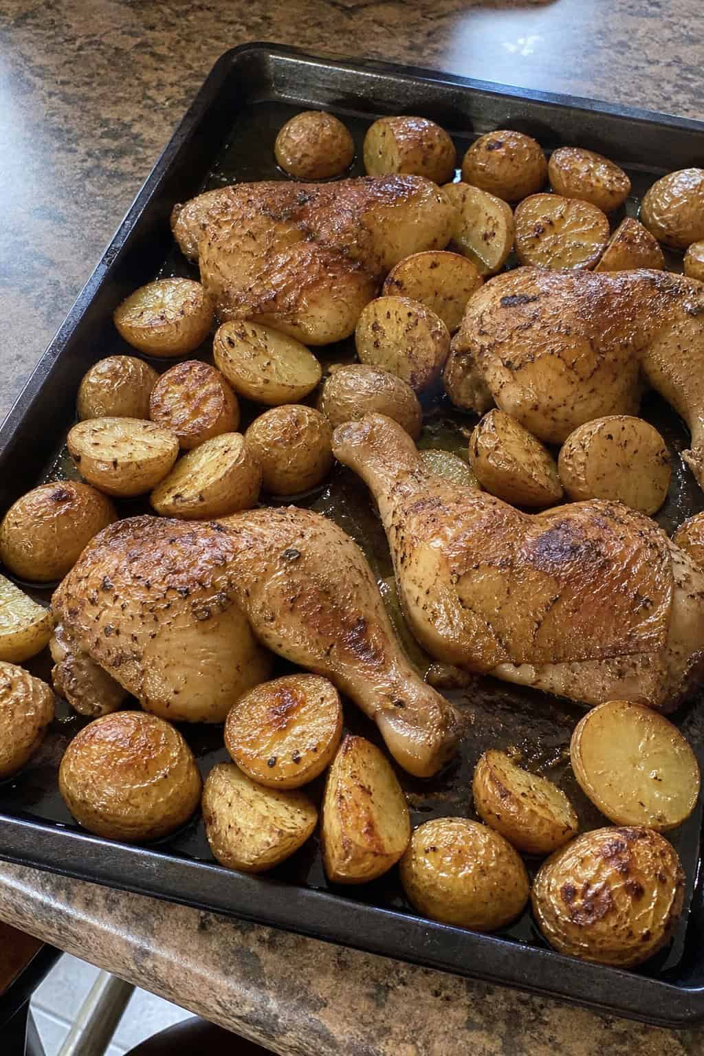 Easy Chicken Leg Recipes for Family Dinners 7 A sheet pan lined with parchment holding roasted chicken legs with crispy golden skin alongside caramelized baby potatoes, scattered with fresh rosemary sprigs and lemon slices.