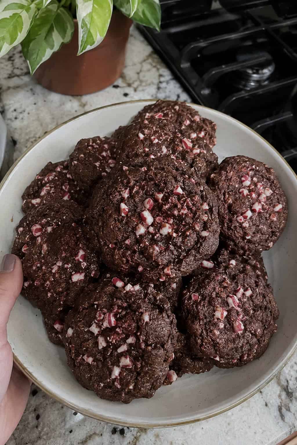 Hot Chocolate Peppermint Cookies