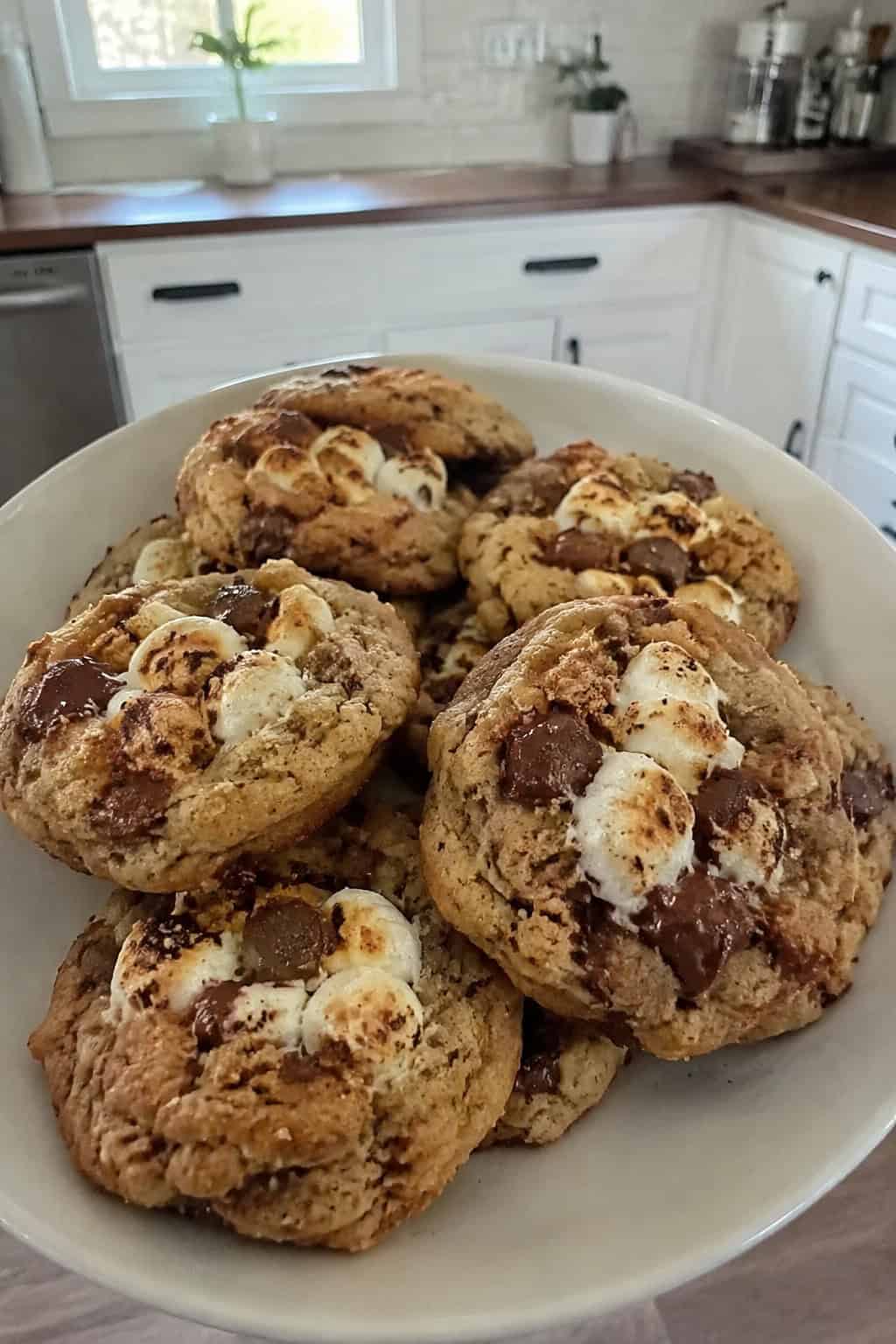 S'mores Graham Cracker Cookies