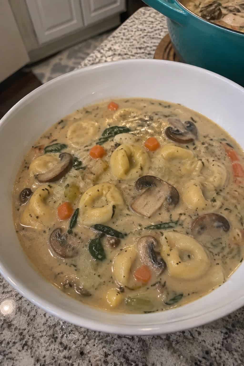 Vegetarian Mushroom and Tortellini Soup