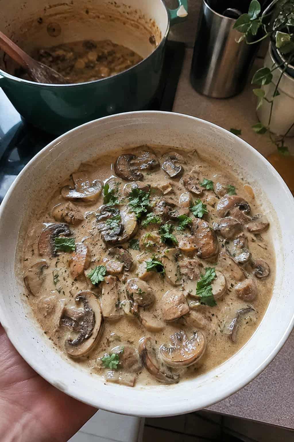 Dairy-Free Vegan Mushroom Stew