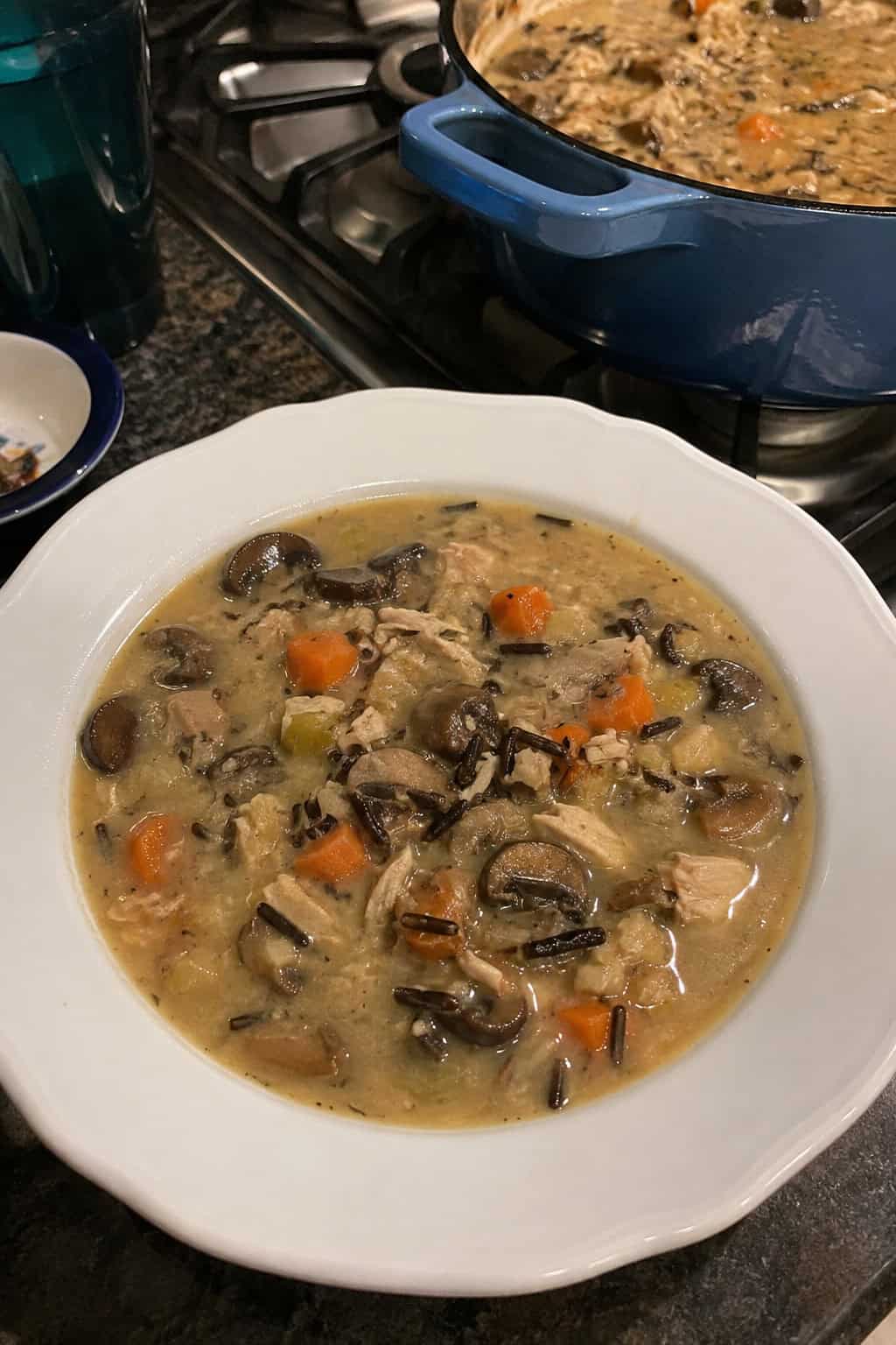 Leftover Turkey and Mushroom Wild Rice Soup