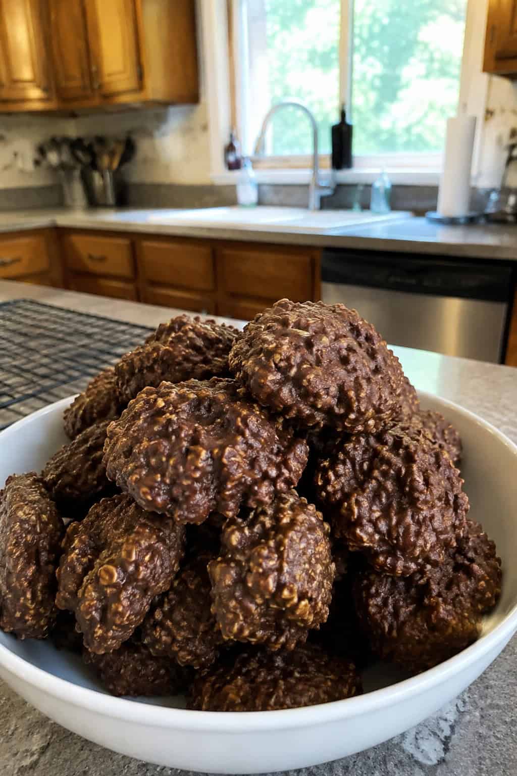 No-Bake Chocolate Peanut Butter Cookies