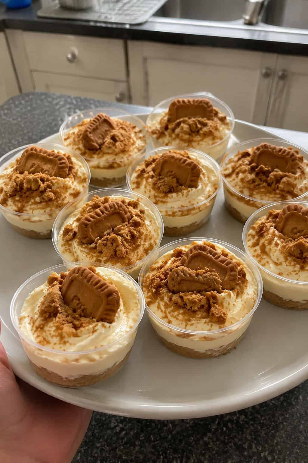 Cookie Butter Cheesecake Cups
