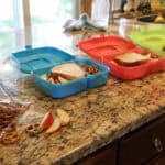 How to Make School Lunch Easier for a Picky Eater