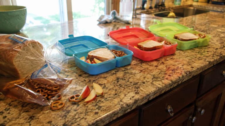 How to Make School Lunch Easier for a Picky Eater