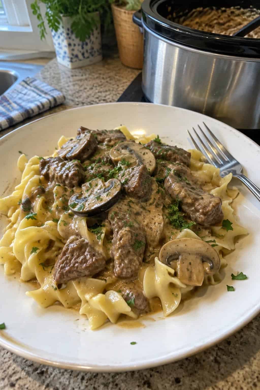 Wide egg noodles topped with beef stroganoff, mushrooms, and a creamy pan sauce.