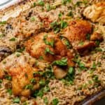 Creamy Chicken Casseroles That Make Everyone Go Quiet