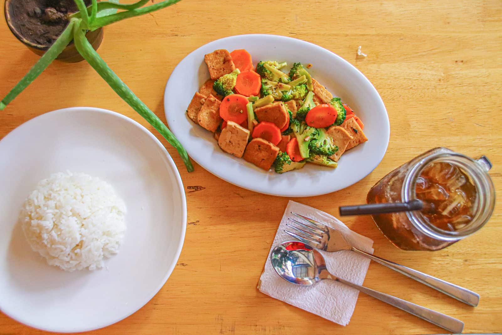 Stir fried tofu and broccoli