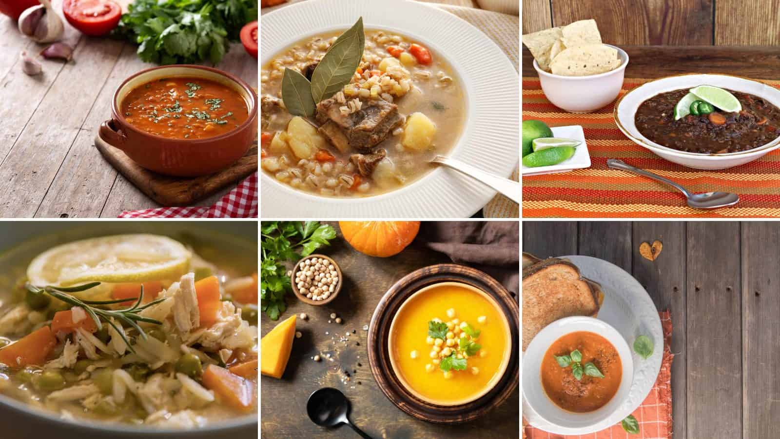 Collage of spicy moroccan lentil, hearty beef and barley, smoky black bean, lemon dill chicken orzo, curried pumpkin and chickpea and rustic tomato basil