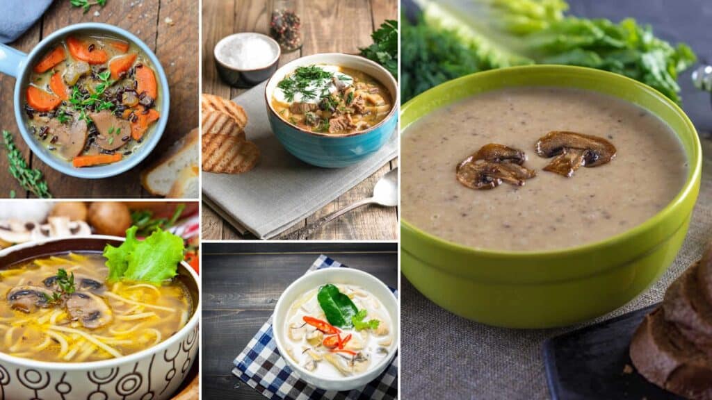 15 Mushroom Soup Recipes for Chilly Nights 1 15 Mushroom Soup Recipes for Chilly Nights