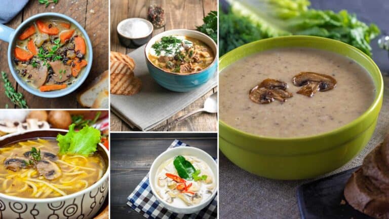 15 Mushroom Soup Recipes for Chilly Nights