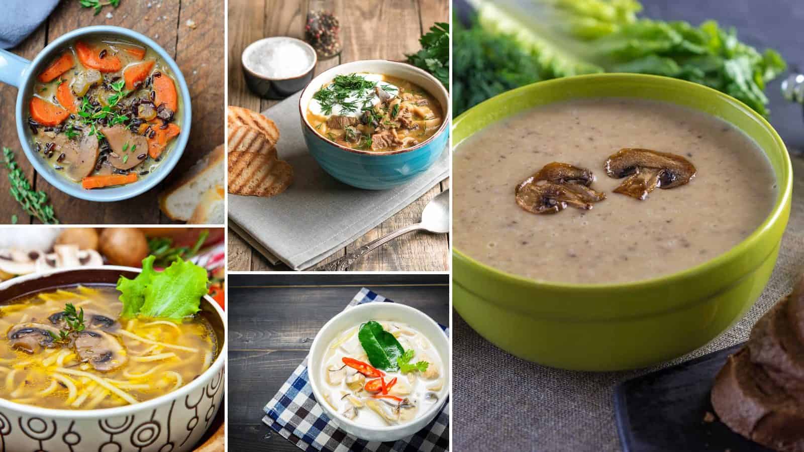 Collage of cream of mushroom soup, wild rice and mushroom soup, mushroom noodle soup, hungarian mushroom soup and spicy thai coconut mushroom soup