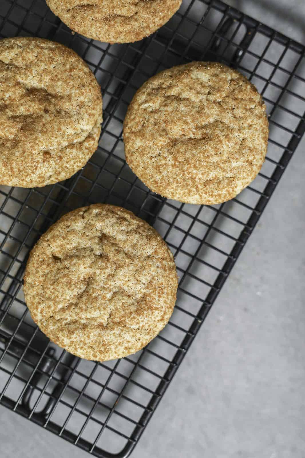 Snickerdoodle cookies rolled in cinnamon sugar