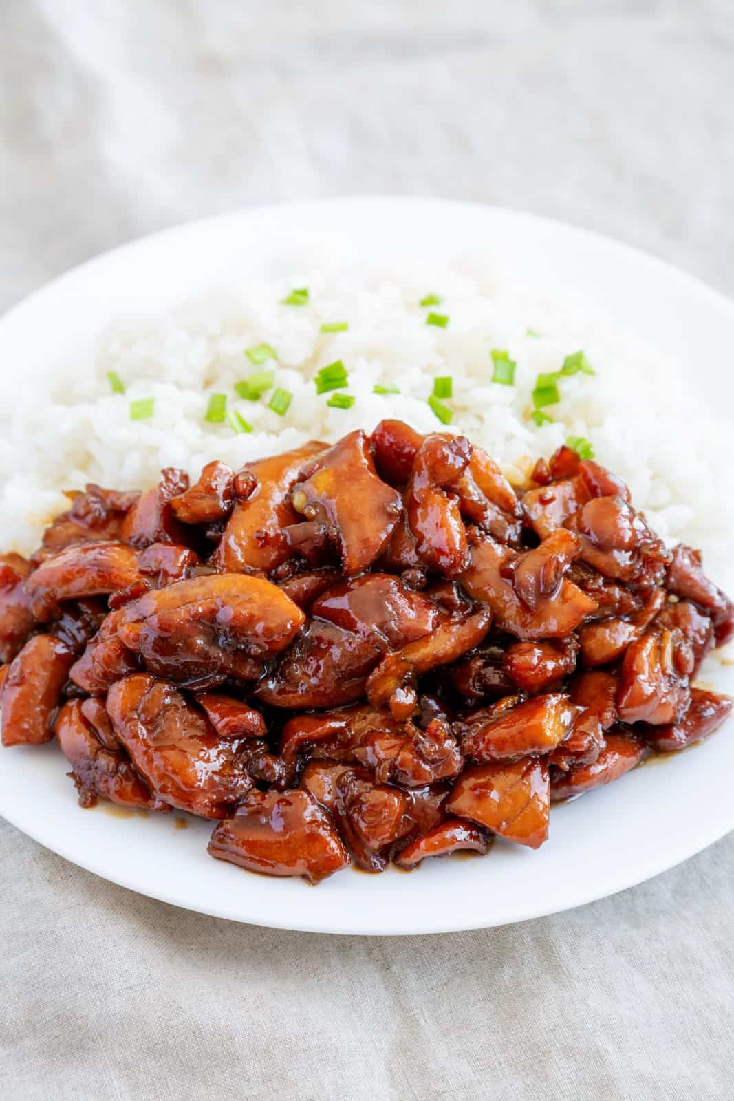 18 Easy Crockpot Recipes for Busy Days 48 Teriyaki chicken thigh