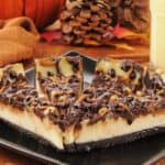 17 No-Bake Turtle Cheesecake Recipes
